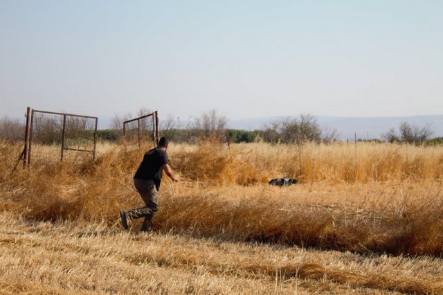 Αγωνες Α.Κ.Ι 18/6/2017